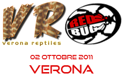 Verona 2011