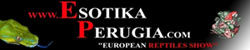 ESOTIKA - Perugia 2012