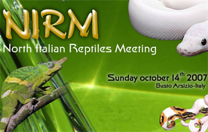 Nirm 2007
