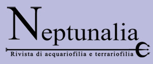 Neptunalia
