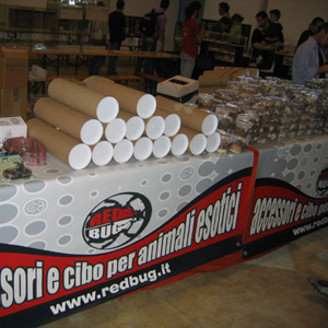 Nirm 2007