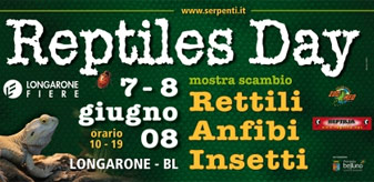 Reptiles Day 2008