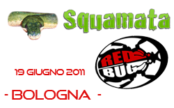 Squamata 2011