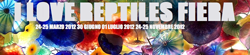 I love reptiles 2012