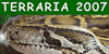 Terraria 2007