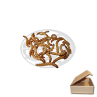 1Kg. di Camole della farina