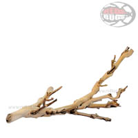 Exo-Terra Forest Branch - Ramo di Vite