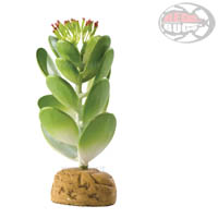 Exo-Terra Jade Cactus - Pianta finta in plastica