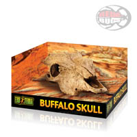 Exo-Terra Buffalo Skull - Rifugio Teschio di Bufalo