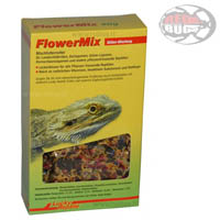 Lucky Reptile Flower Mix Hibiscus