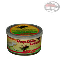 Lucky Reptile Herp Diner Crickets