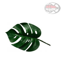 Lucky Reptile Monstera Leaf - Foglia di Monstera