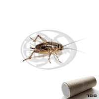 Tubo 700 Assimilis Medi