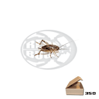 Tubo 350 Assimilis Small