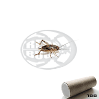 Tubo 700 Assimilis Small