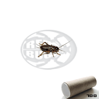 Tubo 700 Bimaculatus Small