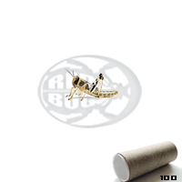 Tubo 100 Locusta Gregaria Small