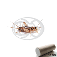 Tubo 1000 Sigillatus Adulti