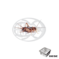 micro banded dose