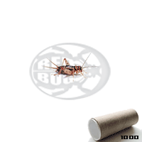 micro banded dose