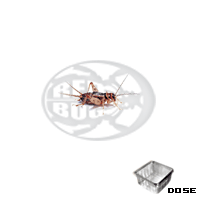 small banded dose