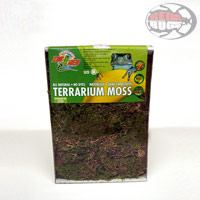 muschio terrari zoomed