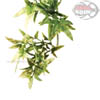 Exo-Terra Spanish Moss - Pianta finta in plastica