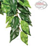 Exo-Terra Ficus - Pianta finta in tessuto