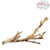Exo-Terra Forest Branch - Ramo di Vite