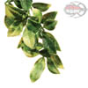 Exo-Terra mandarin - Pianta finta in plastica