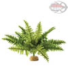 Exo-Terra Boston Fern - Pianta finta in plastica