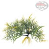 Exo-Terra Fanwort - Pianta acquatica galleggiante in plastica