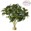 Exo-Terra laurel Bush - Pianta finta in plastica