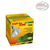 Lucky Reptile Bright Sun FLOOD Jungle