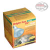 Lucky Reptile Bright Sun UV Jungle