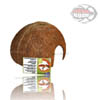 Rifugio per rettili 100% Cocco