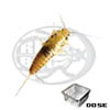 Pesciolini d'argento (Thermobia domestica)