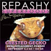 Repashy Crested Gecko