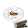 Maxi bulk acheta small