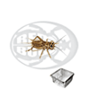 scatoletta grilli acheta small