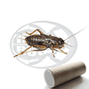 Tubo 700 Bimaculatus Medi