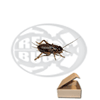 Tubo 350 Bimaculatus Small