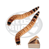 500gr. Caimani (Zoophobas morio)