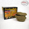 feeding rock