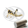 Tubo 100 Locusta Gregaria Medie