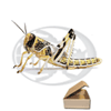 Tubo 50 Locusta Gregaria Standard