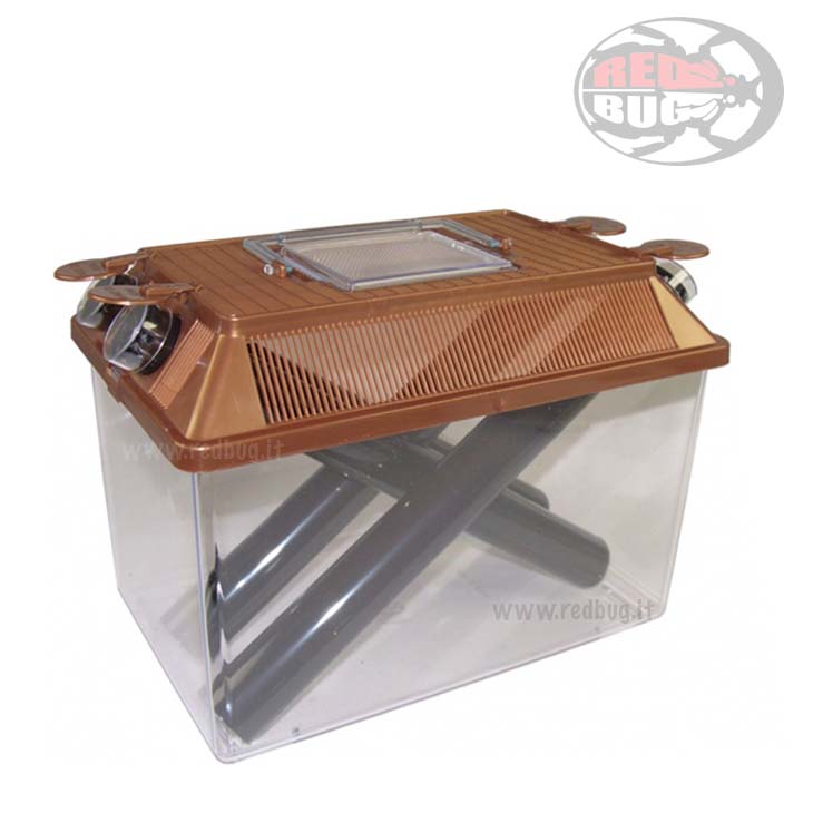 Redbug Lucky Reptile Kricket Keeper Box mantenimento grilli