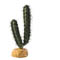 Exo-Terra Finger Cactus - Pianta finta in plastica