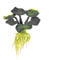 Exo-Terra Water Hyacinth - Pianta acquatica galleggiante in plastica