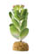 Exo-Terra Jade Cactus - Pianta finta in plastica